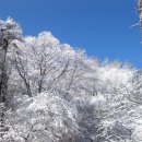 도서출판 파조