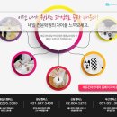 네일을기대해