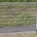 푸르댕댕 이미지