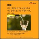 남상 이미지