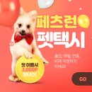 행복펫택시 이미지