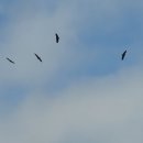 보절면 사촌마을 이미지