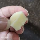 치산정 | 일본 북해도산 치즈 후기 까망베르 치즈 / 캔디 치즈 플레인과 블랙 페퍼