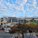 그날, 꽃피는 청춘 이미지