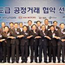 현대포토 이미지