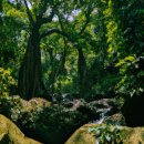 마하생태관광지 이미지