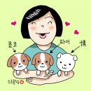 이와정당구장 이미지