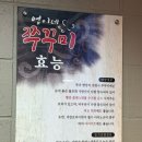 용산 용문시장 맛집 쭈꾸미 추천 | 찌갠쭈꾸미 용산용문시장점 후기