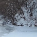 김선일화실 ﻿﻿한국의 자연 겨울 한강 설경 32 이미지