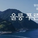 울릉푸른나무 이미지