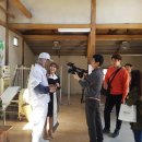 고래고래 이미지