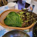 도니족발 - 송파구 백제고분로41길 45 | 도니족발