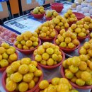 밀레니엄안동찜닭 이미지