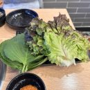 방학동 닭갈비 맛집 &#39;오늘도 닭갈비&#39; 본점 방문 솔직 후기