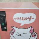 성수 밧데리 | 「성수 놀거리」 서울 고양이 카페 성수 실내 놀거리 성수 실내 데이트 길고양이마을 성수협력점 후기