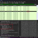 [패킷분석] http 웹통신과 tls 암호통신 / 3way-HandShake / Transport Layer Security / TLS HandShake