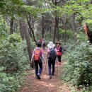 메추리 펜션 이미지