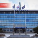 완도19호 이미지