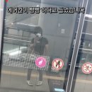 유명카 이미지