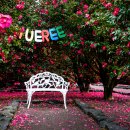 남원읍-111 이미지