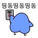 인디고 스토리