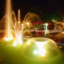 코스모스가든 이미지