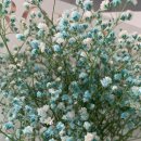 외국어로서의 한국어어휘교육론 이미지