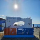 소보리애 이미지