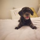 대명호스텔 이미지