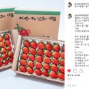 군산하늘딸기 네이버블로그