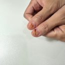 곰돌이탕후루 이미지