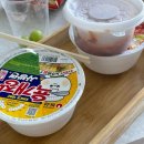 위클라드애견풀빌라 | 경주 애견동반 숙소 추천 <위클라드 애견 풀빌라> 후기