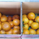 서경농수산