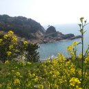 공곶이 언덕 이미지