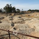 경포해변중앙통로 이미지