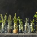 허브 식물과 향기의 이용 이미지