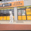 펫마트제주삼화점