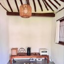 예쁨중DOG 이미지