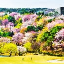 모서명가