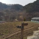 고시골 이미지
