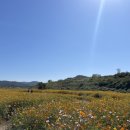 숲뜰근린공원 이미지