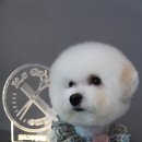 잇츠그루밍타임 이미지