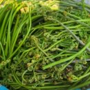 이유호 농장 이미지