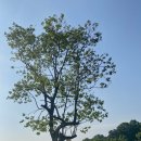 이도커피 - 세종특별자치시 금남구즉로 497 | 이도커피