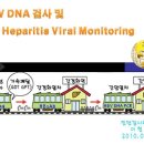 HBV DNA 검사 및 Heparitis Viral Monitoring 이미지