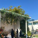 주차40 | [대구 엘파소하우스] 야외홀 토요일 오후 3시 40분 솔직한 하객후기 (주차, 식사 모두 좋았음)