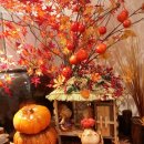 초가집황토방 | 초가집 황토 방에