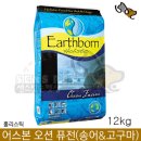 펫-오션 이미지