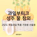 일신농약할인마트 | 산지직송의 달콤함, 과일부티크 성주 꿀 참외 고당도 제철과일 가정용 선물용 혜택 정리