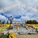 대화파크 | 2025 임실치즈 축제 임실치즈테마파크 다녀온 방문 후기!!